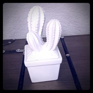 Little ceramic catcus